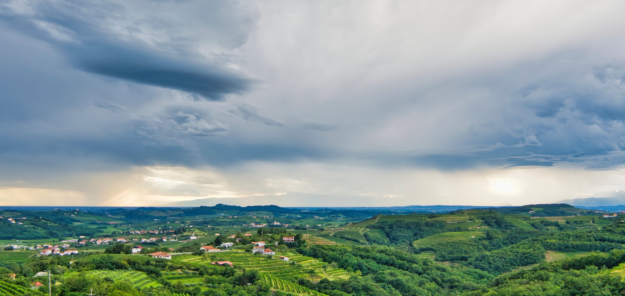 _A7_0450 (1)_filtered.jpg